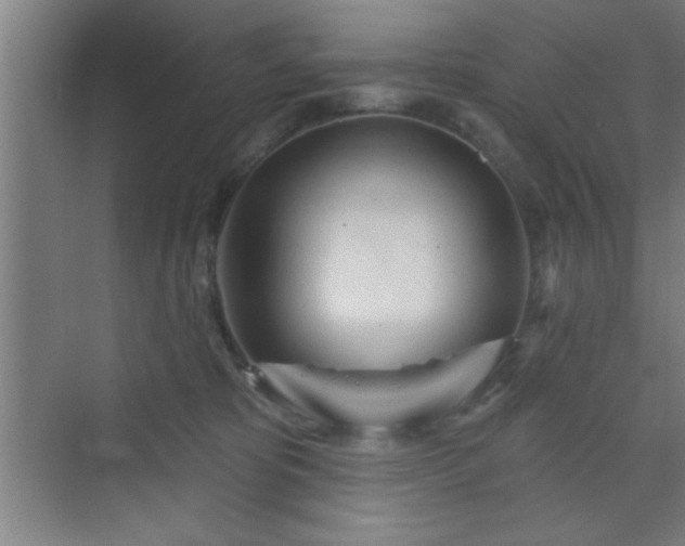 X0000070160325200606021038