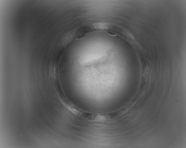 X0000070160330200606021038