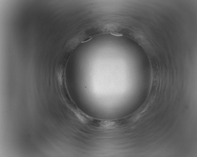 X0000070160334200606021038