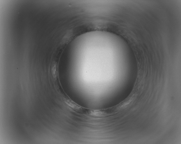 X0000070160336200606021038