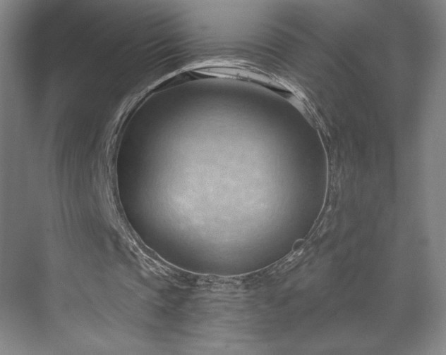 X0000070160337200606021037