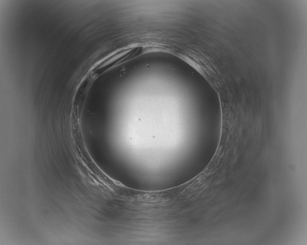 X0000070160338200606021037