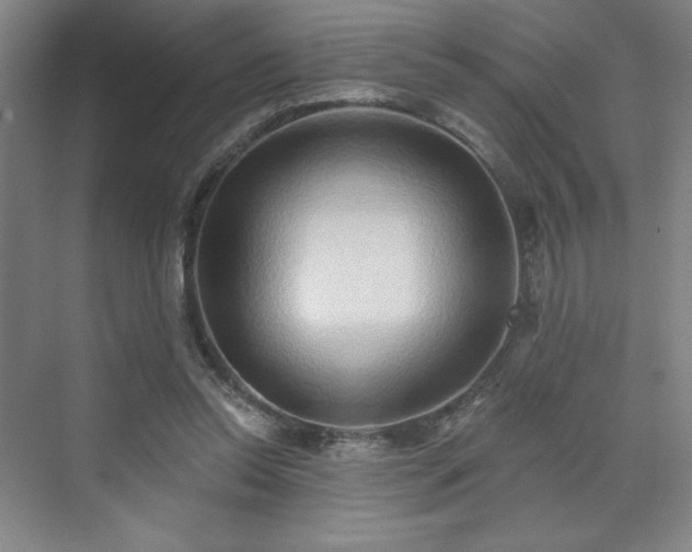 X0000070160350200606021037