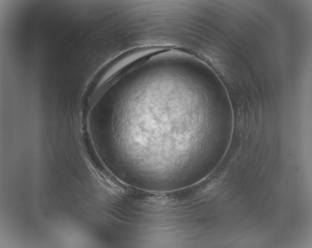 X0000070160351200606021037