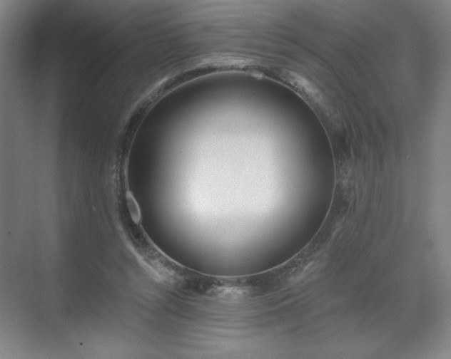X0000070160352200606021037