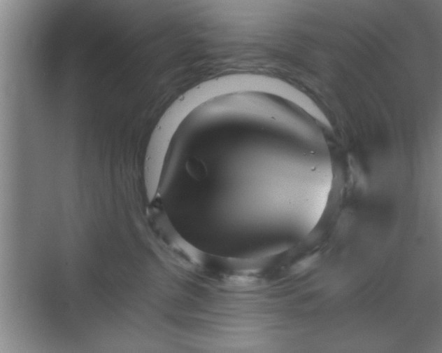 X0000070160380200606021038