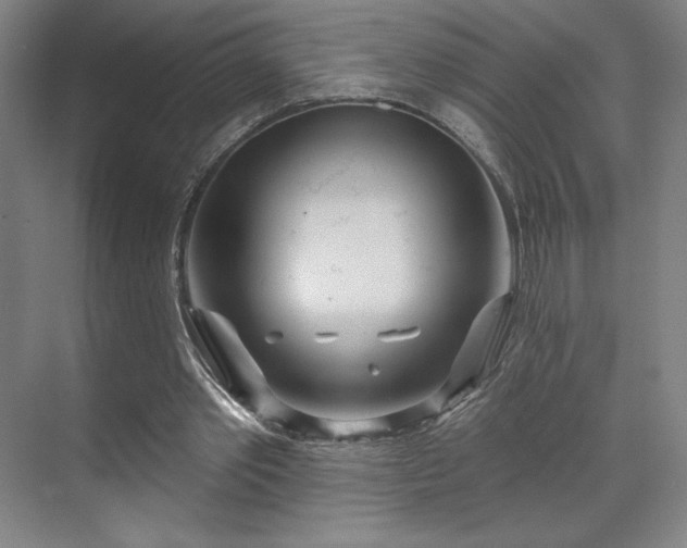 X0000070160389200606021037