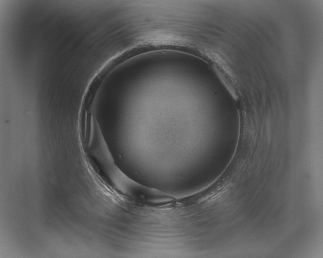 X0000070160391200606021037