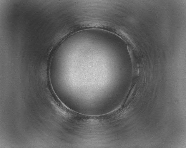 X0000070160394200606021037