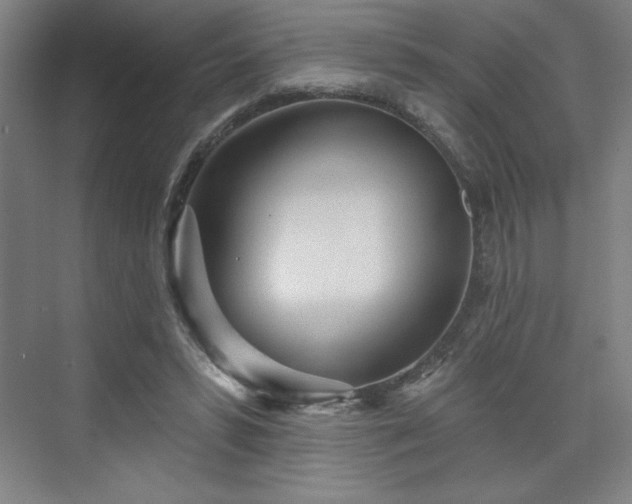 X0000070160399200606021037