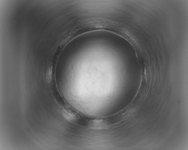 X0000070160406200606021036