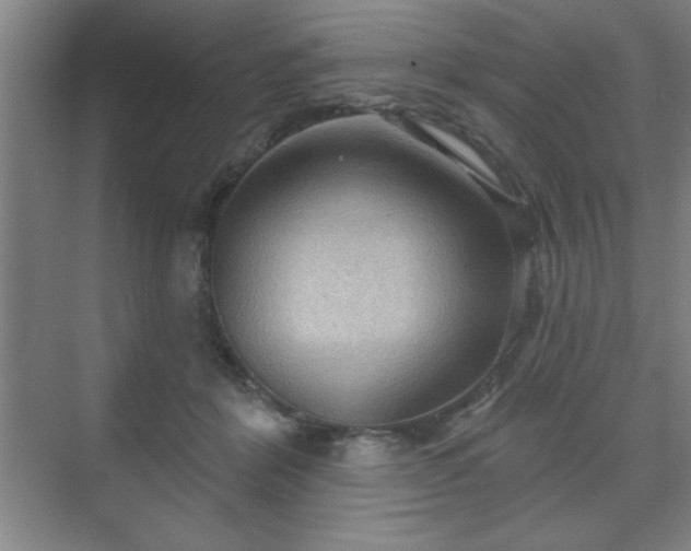 X0000070160412200606021036