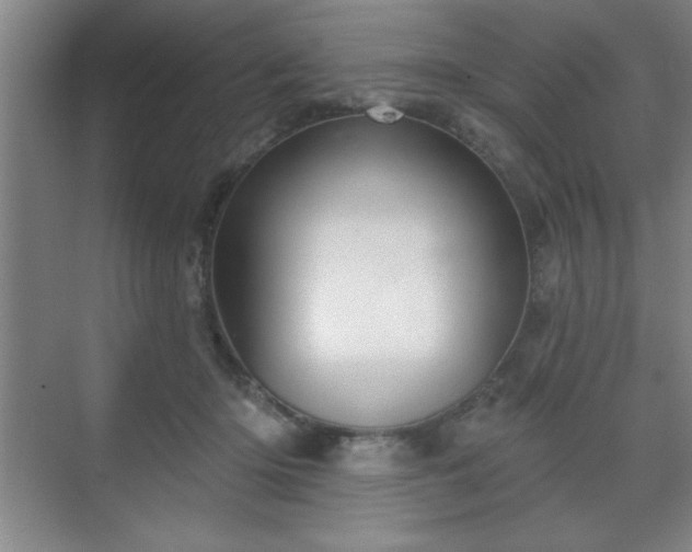 X0000070160414200606021036