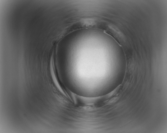 X0000070160417200606021036