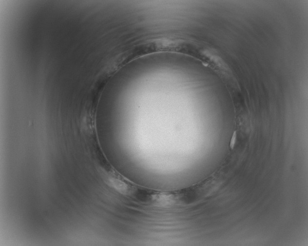 X0000070160419200606021036