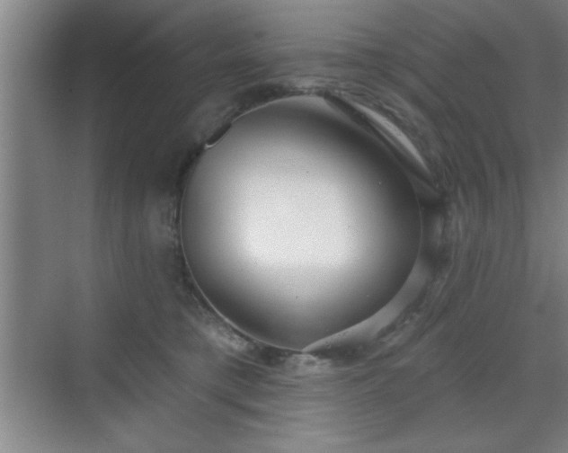X0000070160421200606021036