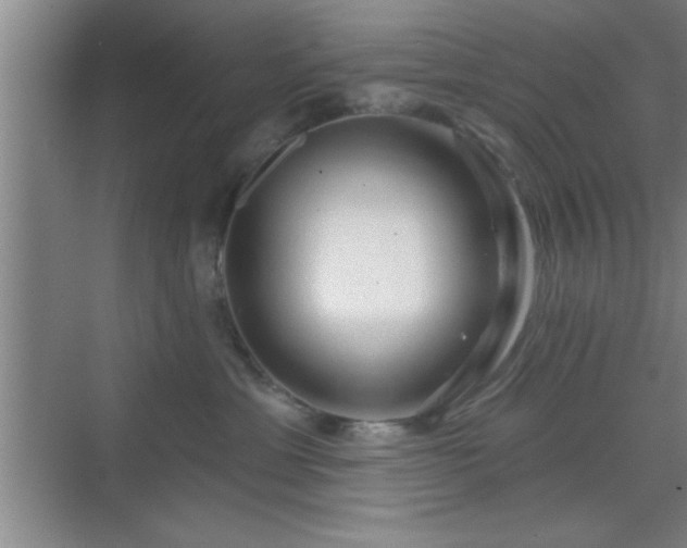 X0000070160429200606021036
