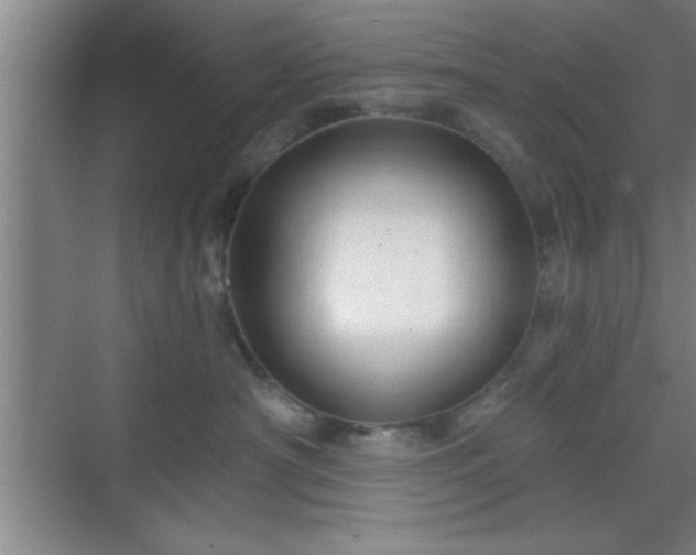 X0000070160430200606021036