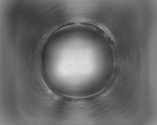X0000070160433200606021035