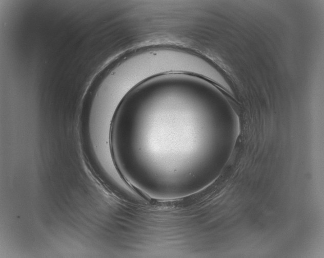 X0000070160440200606021035