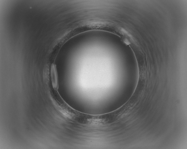 X0000070160448200606021035