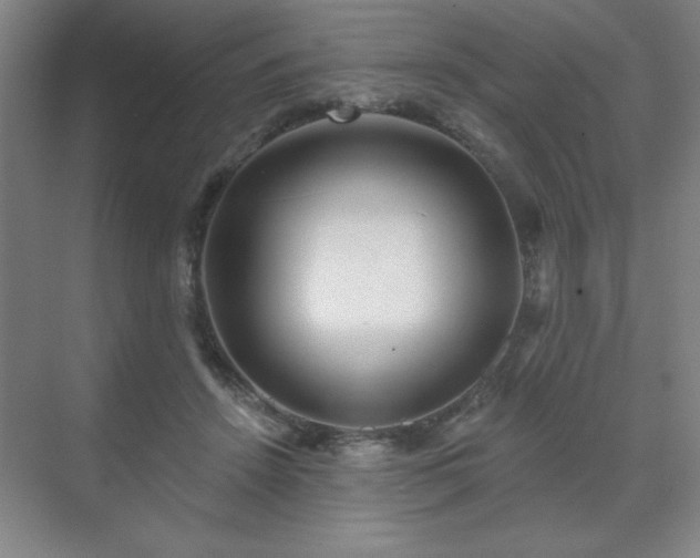 X0000070160456200606021036