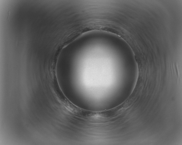 X0000070160460200606021036