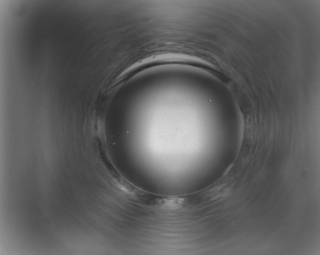 X0000070160474200606021036
