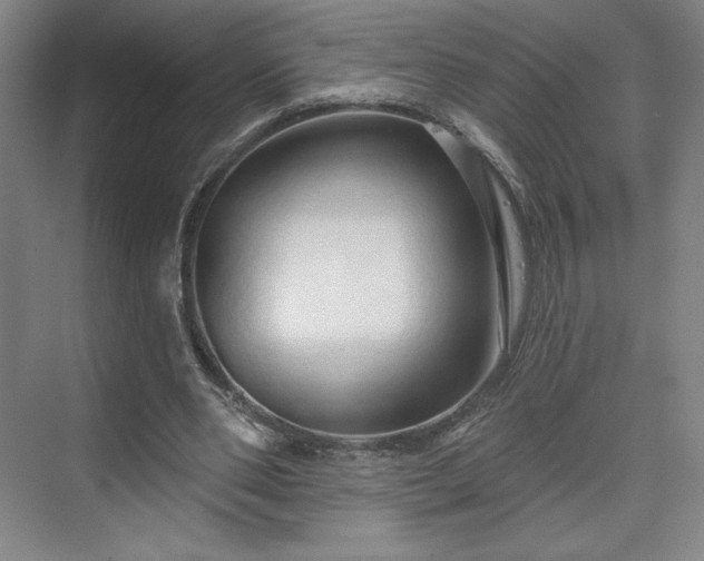 X0000070160486200606021035