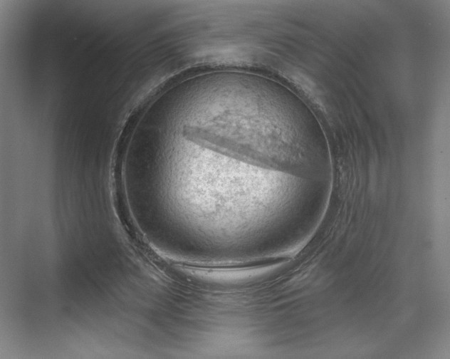 X0000070160487200606021035