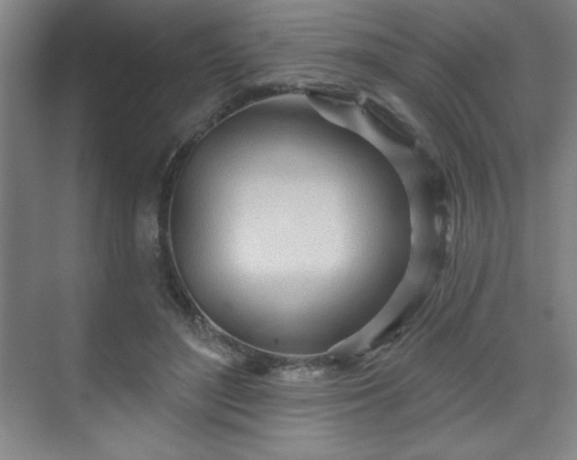 X0000070160500200606021035