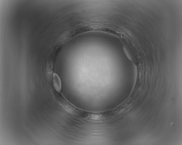 X0000070160507200606021035