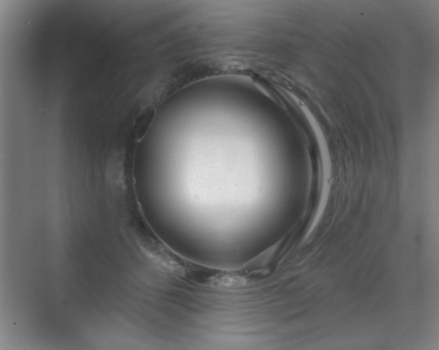 X0000070160512200606021035