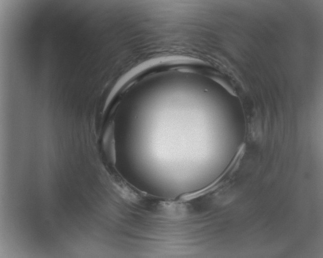 X0000070160520200606021034