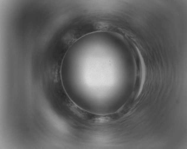 X0000070160525200606021034