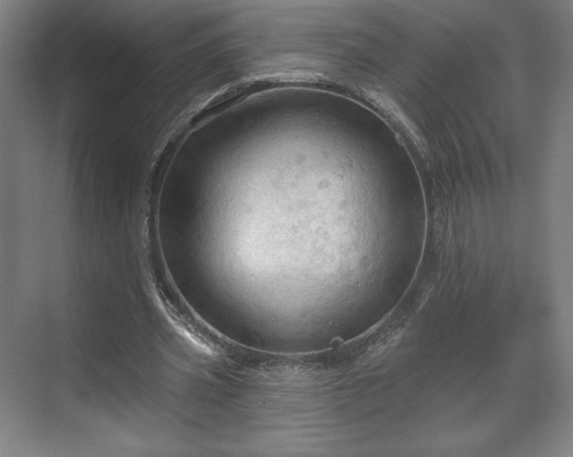 X0000070160533200606021034