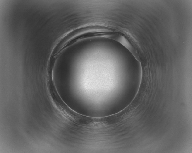 X0000070160536200606021034