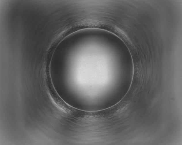 X0000070160538200606021034