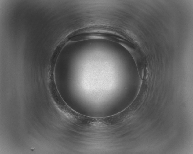X0000070160544200606021034