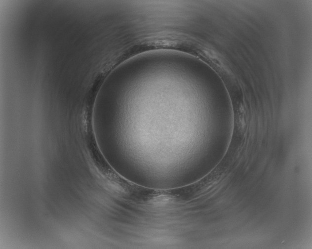 X0000070160551200606021034