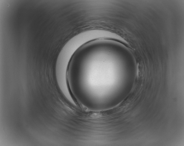 X0000070160562200606021034