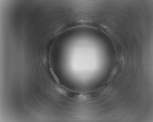 X0000070160566200606021034