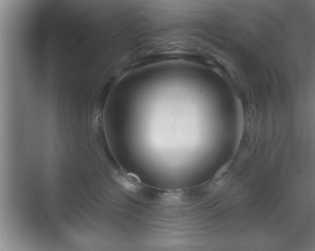 X0000070160574200606021034