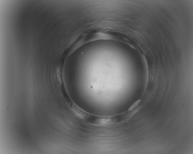 X0000070160575200606021034