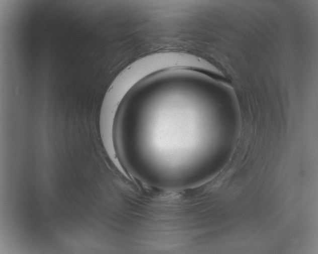 X0000070160576200606021034