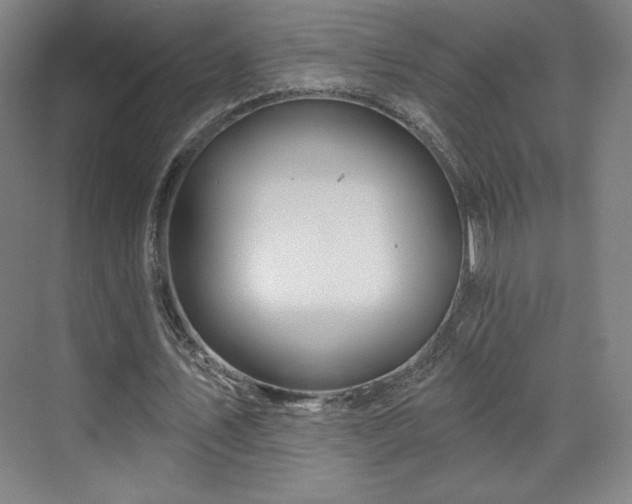 X0000070160579200606021034