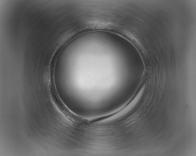 X0000070160582200606021033