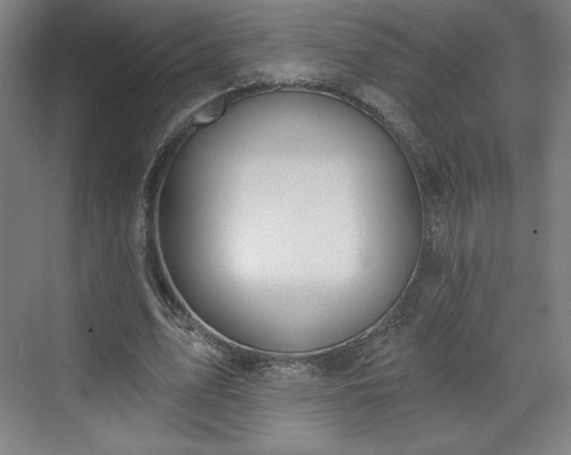 X0000070160583200606021033