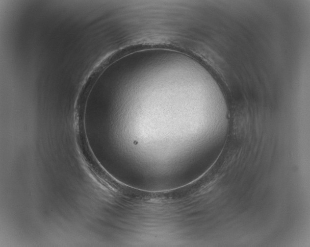 X0000070160584200606021033