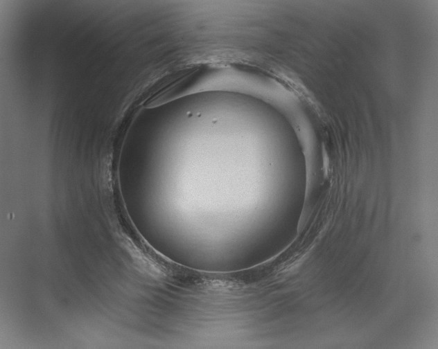 X0000070160585200606021033